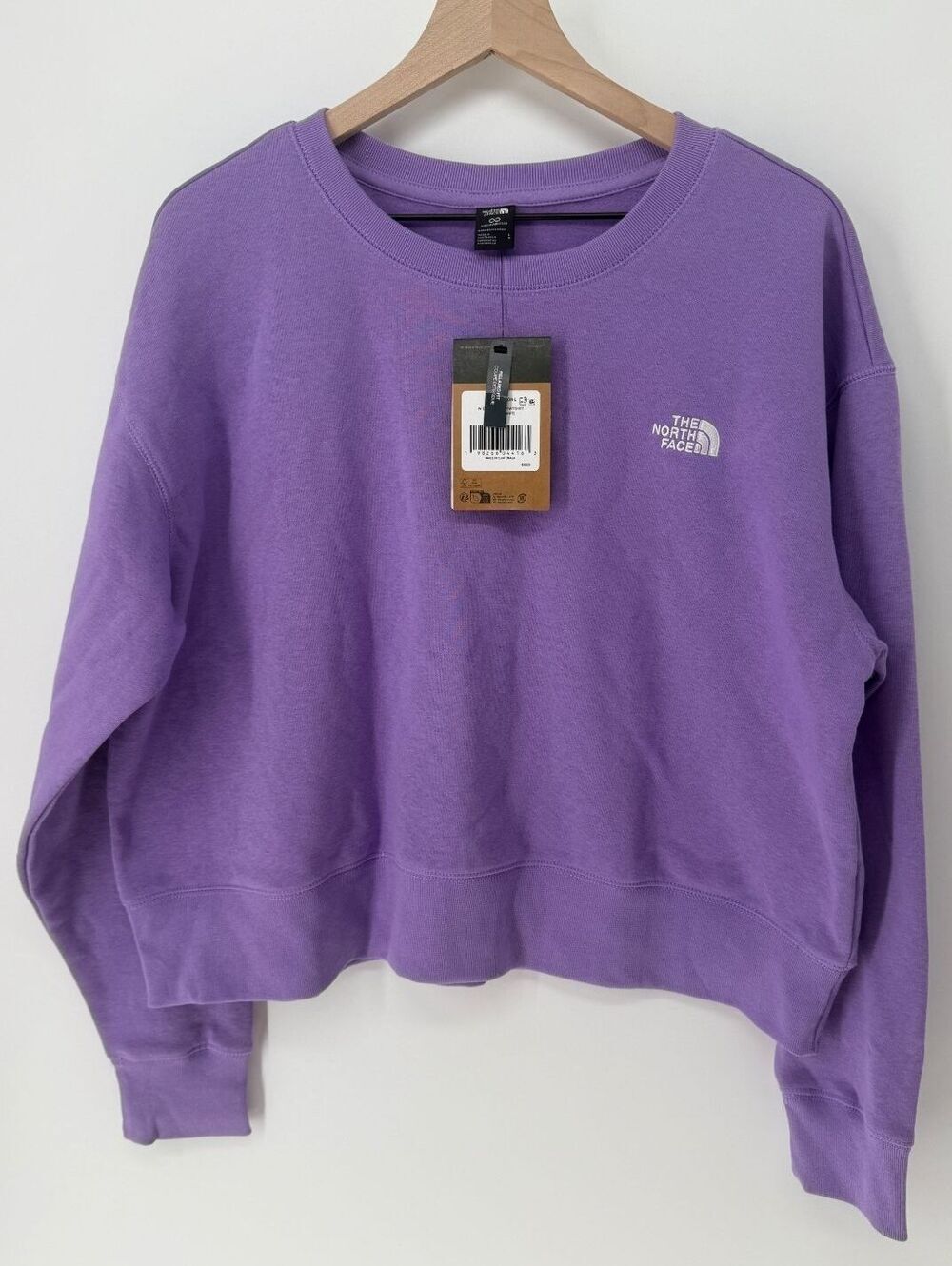NWT North Face Evolution Simple Dome Oversized Crewneck Sweatshirt | Large